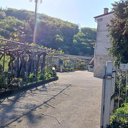 La Torretta - Incantevole Appartamento Nei Colli Berici Nanto Екстериор снимка