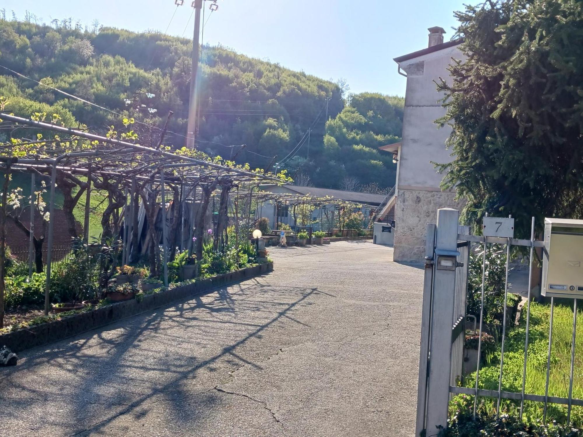 La Torretta - Incantevole Appartamento Nei Colli Berici Nanto Екстериор снимка