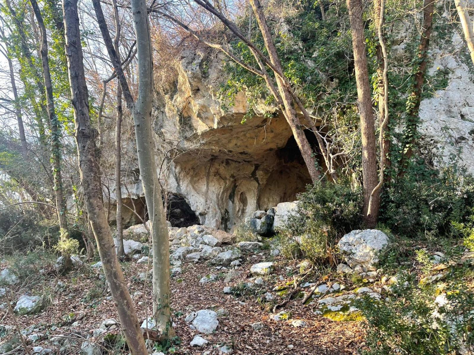 La Torretta - Incantevole Appartamento Nei Colli Berici Nanto Екстериор снимка